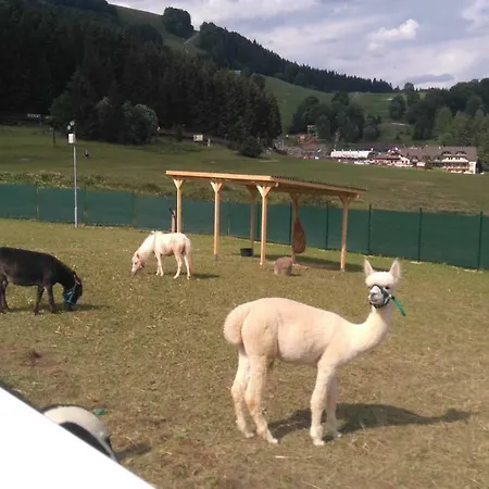 דירה Ad Kamzik - 47 דונובאלי