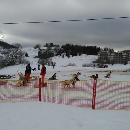 Ad Kamzik - 47 דונובאלי