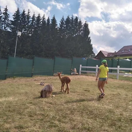 דירה Ad Kamzik - 47 *